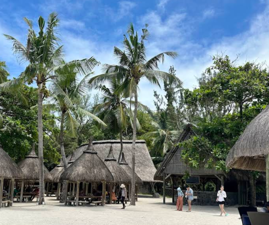 Dizajn bez naslova – 2026-02-01T064102.035(1)