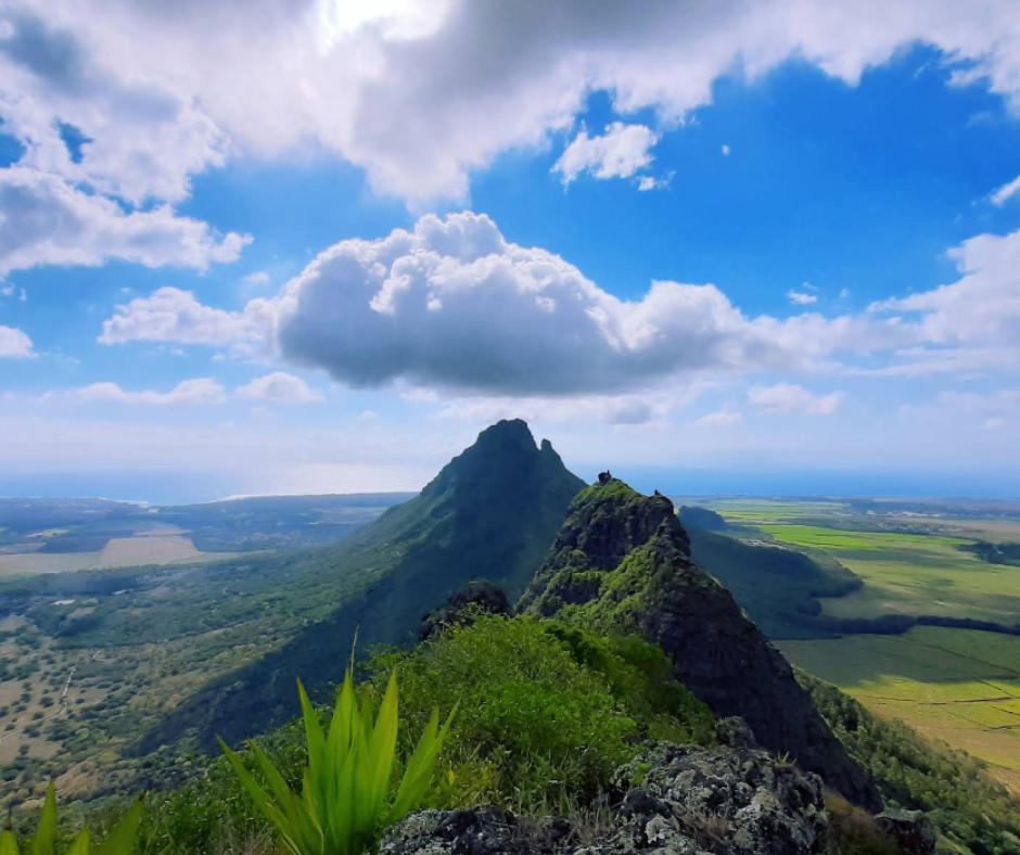 Dizajn bez naslova – 2026-02-01T064410.446(1)