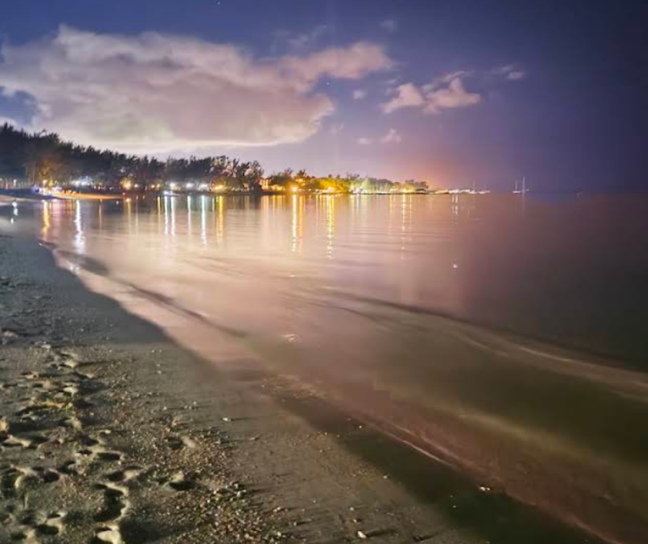 Dizajn bez naslova – 2026-02-01T064543.356(1)