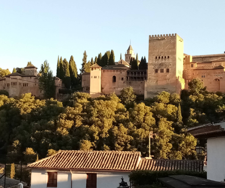 Dizajn bez naslova – 2026-02-02T054652.610(1)