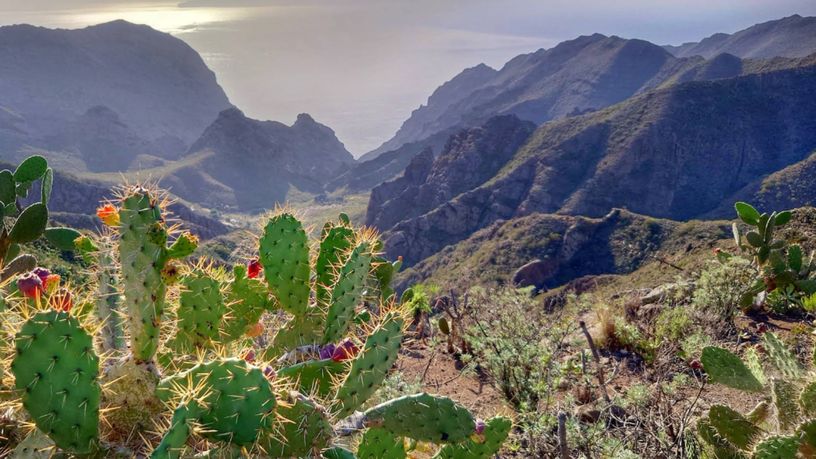 kanari putovanje 2026